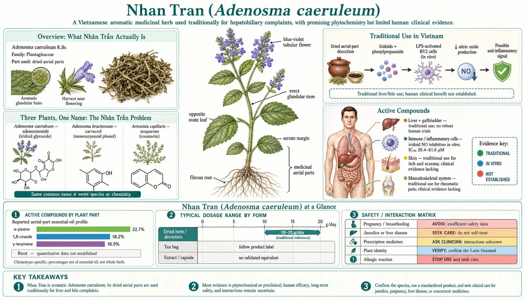 Nhan Tran — scientific infographic poster
