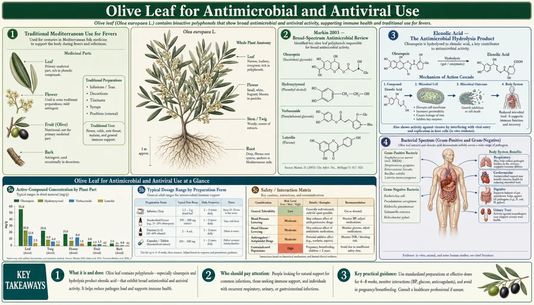 Antimicrobial and Antiviral — scientific infographic poster
