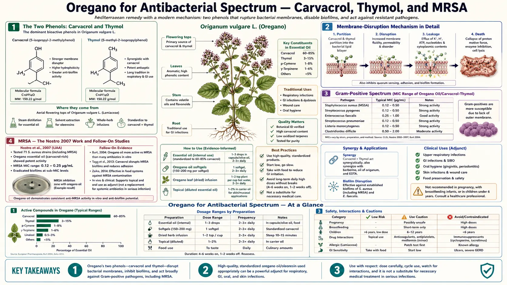 Antibacterial Spectrum — scientific infographic poster
