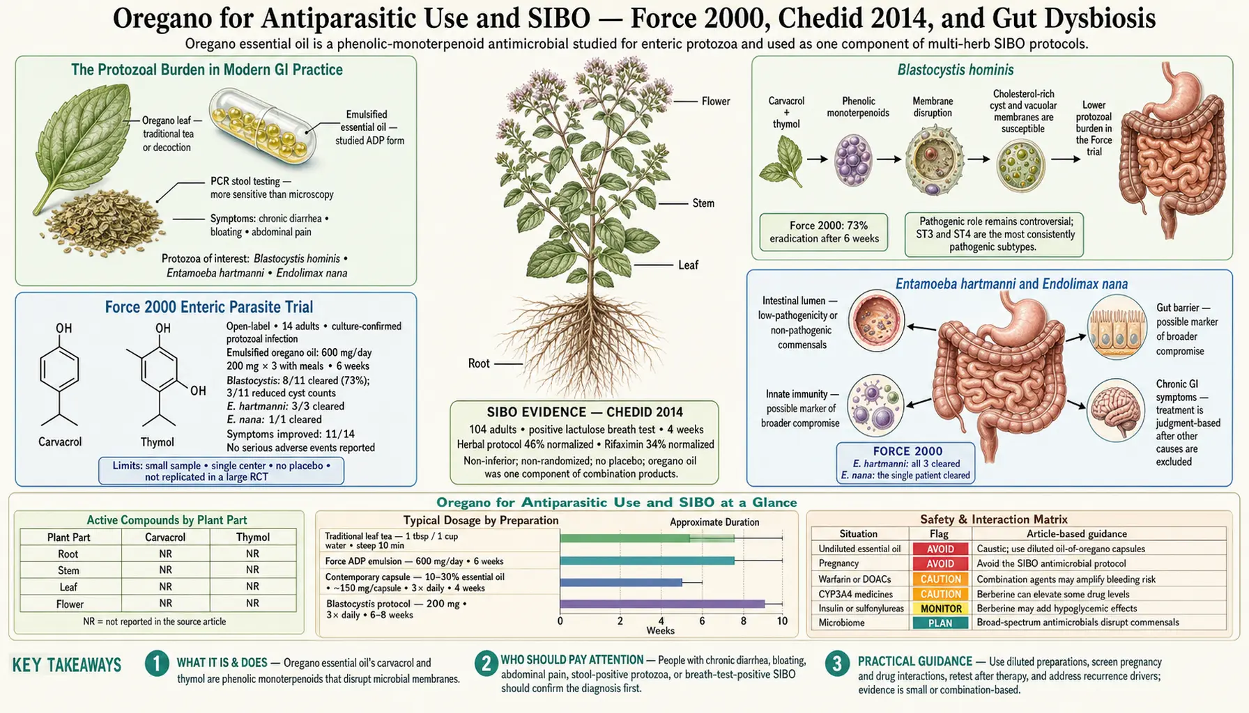 Antiparasitic and SIBO — scientific infographic poster