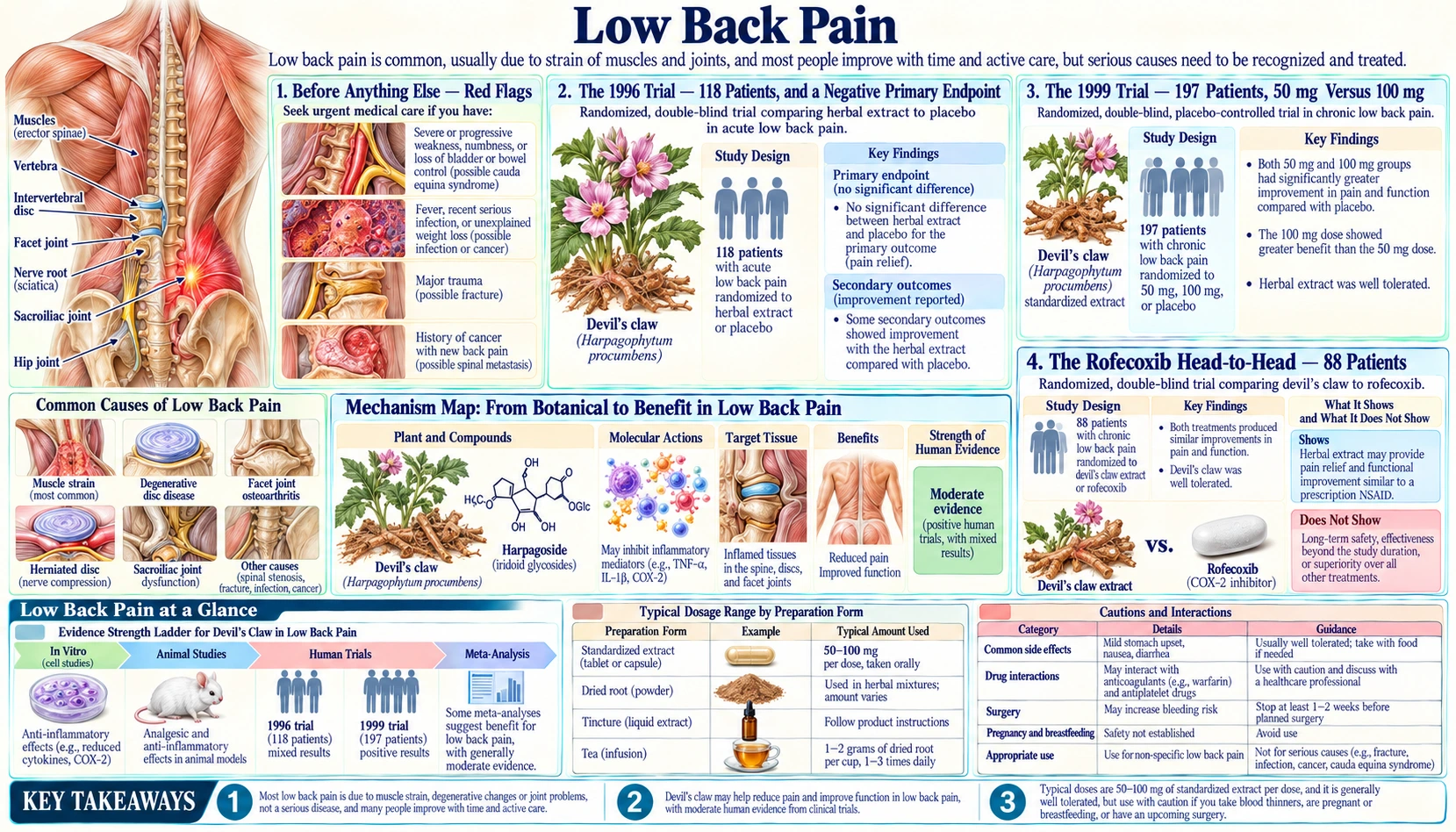 Low Back Pain — scientific infographic poster