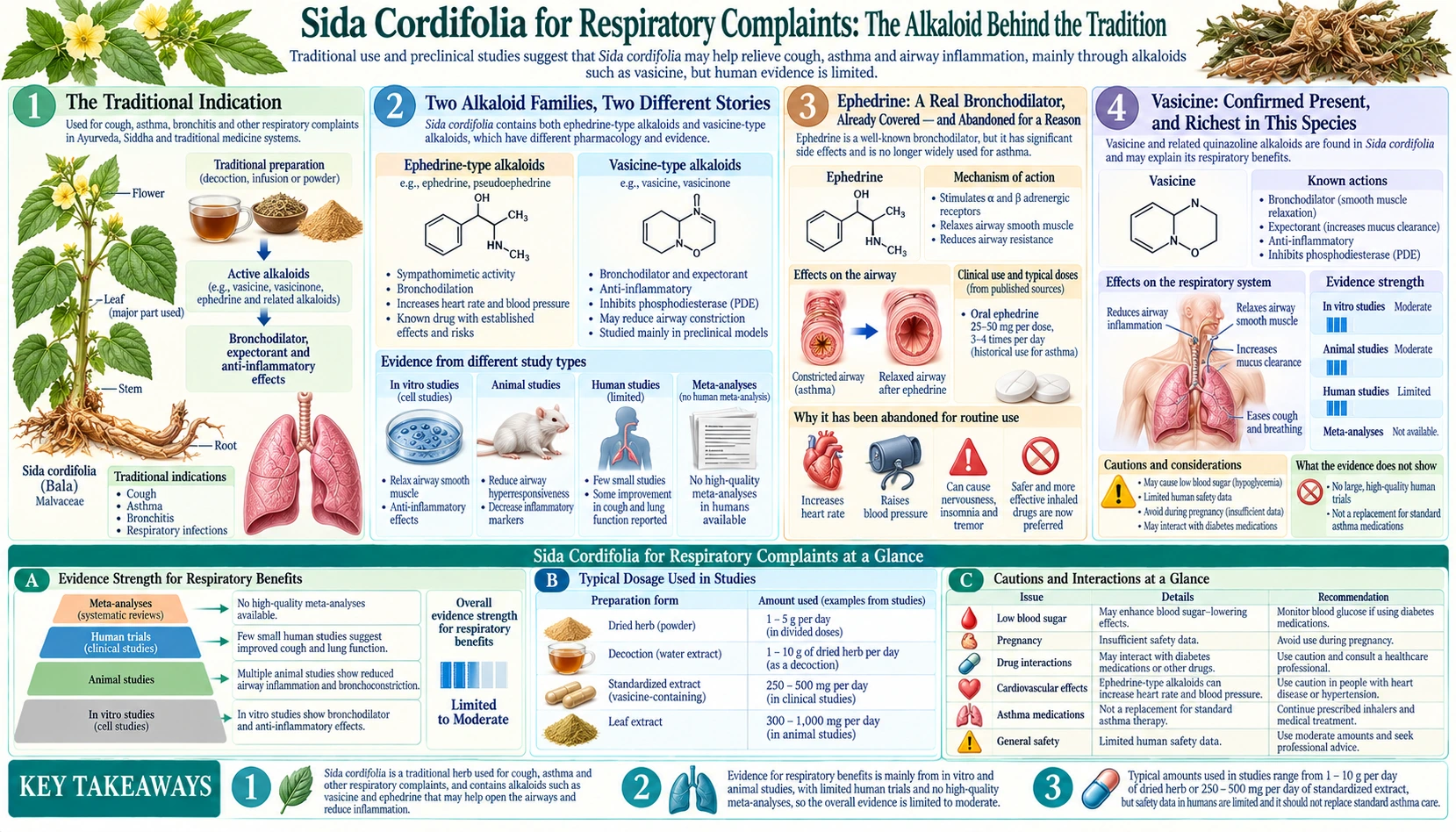 Respiratory and Bronchodilator Use — scientific infographic poster