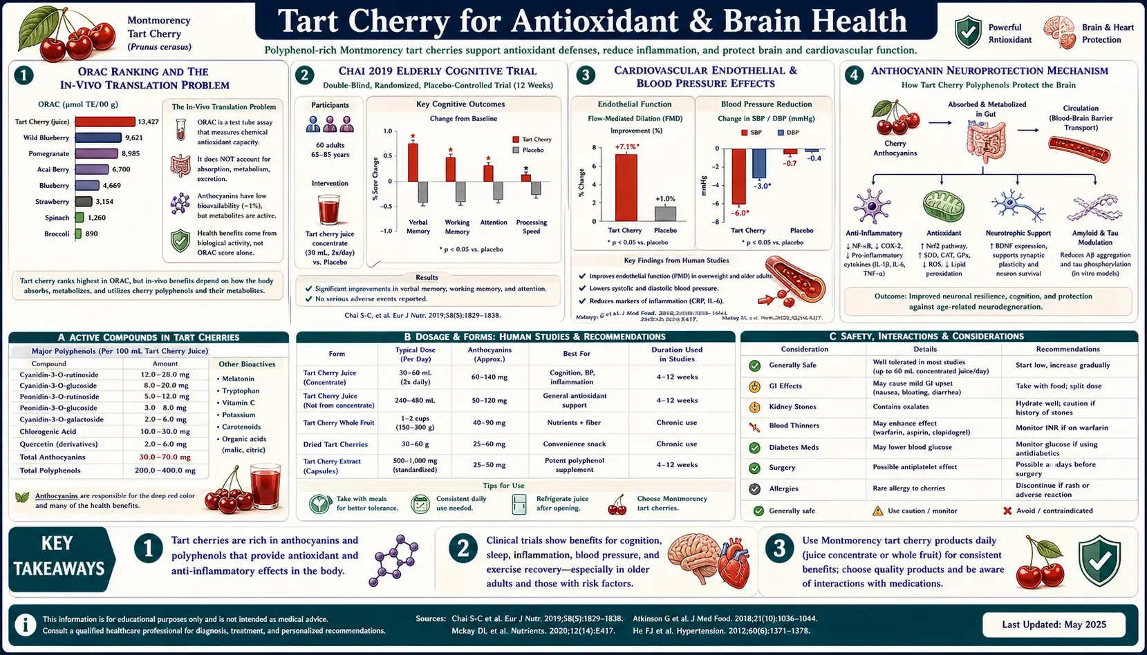 Antioxidant and Brain Health — scientific infographic poster