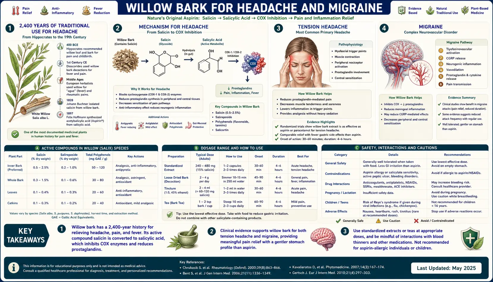 Headache and Migraine — scientific infographic poster