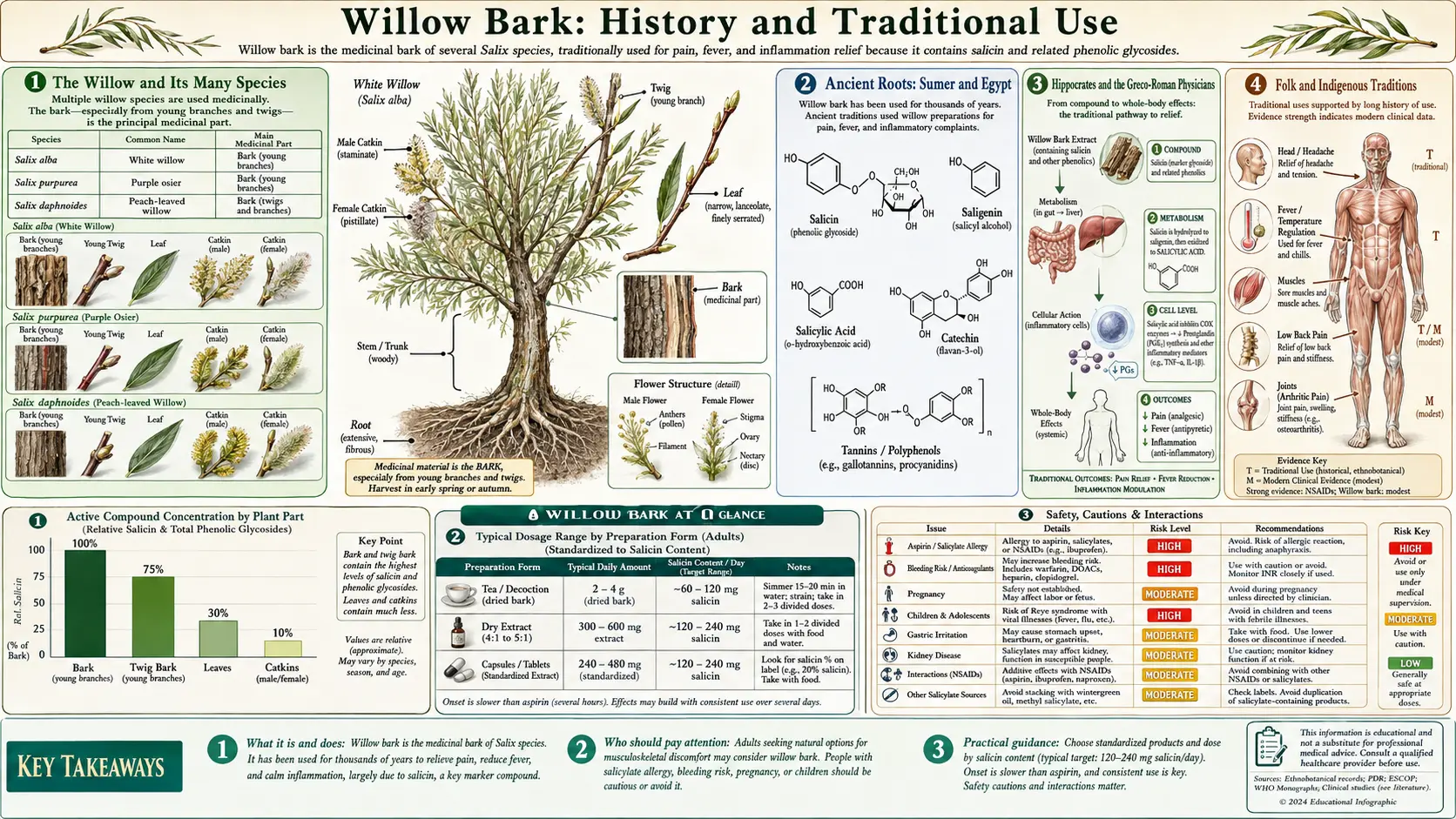 History — scientific infographic poster
