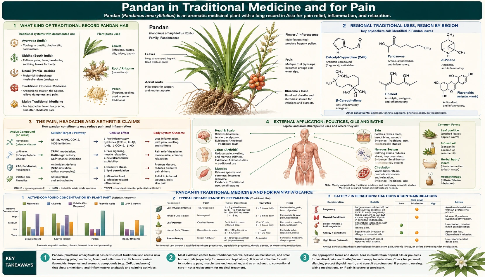 Traditional Uses and Pain Relief — scientific infographic poster