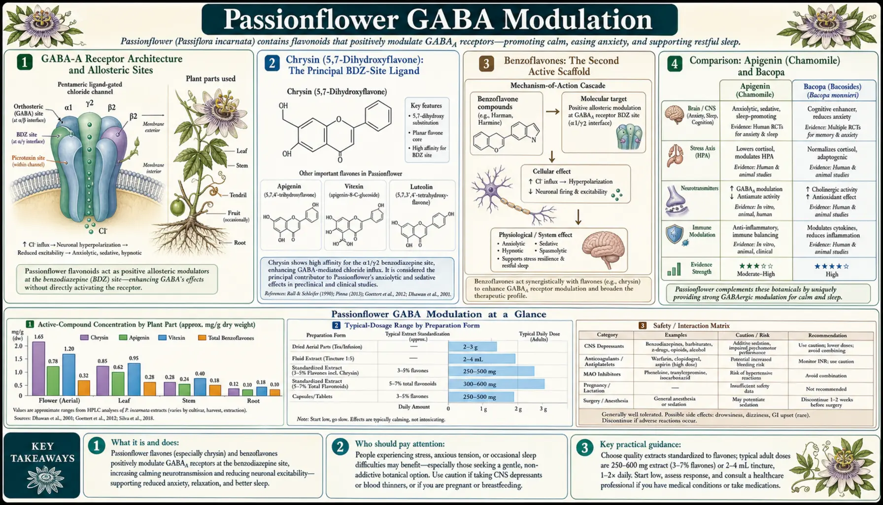 GABA Modulation — scientific infographic poster