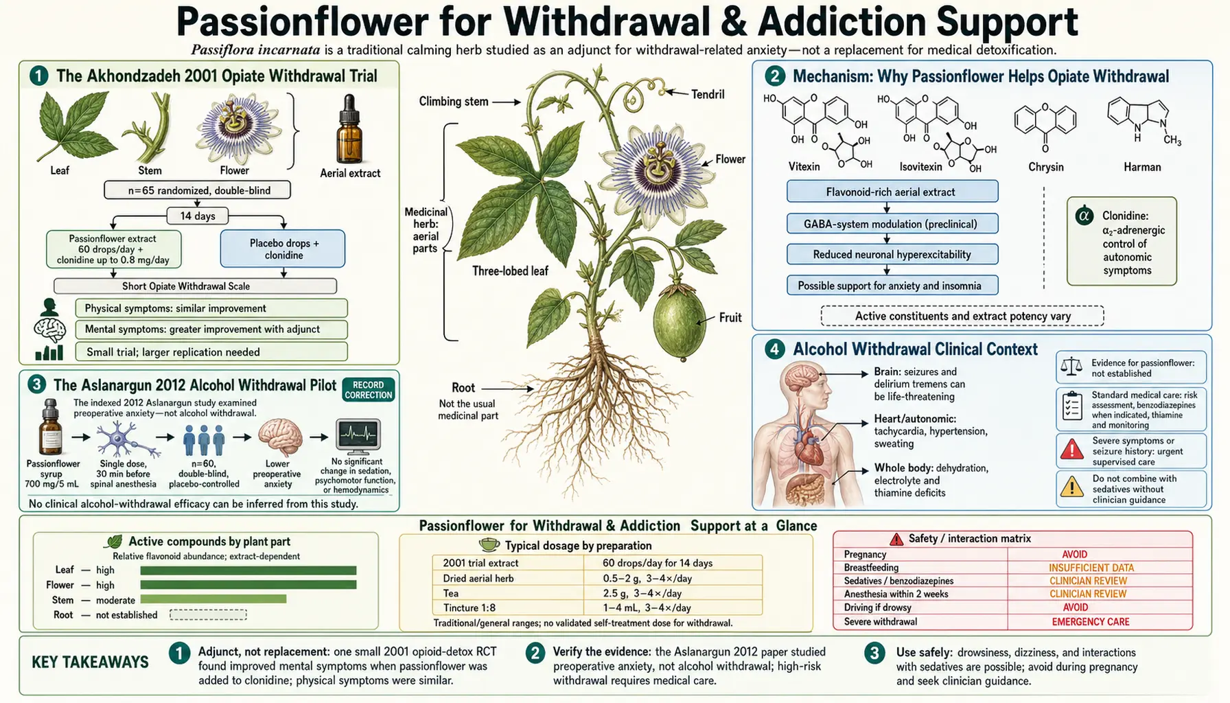 Withdrawal and Addiction Support — scientific infographic poster