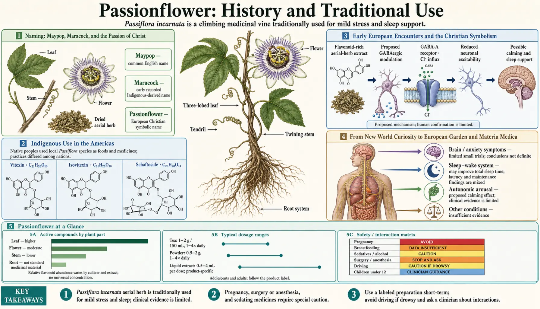 History — scientific infographic poster