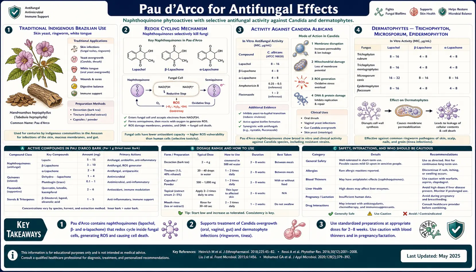 Antifungal — scientific infographic poster