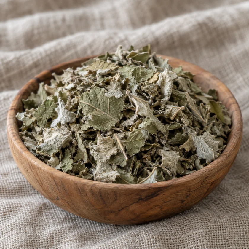 Dried coltsfoot leaf, the traditional tea herb