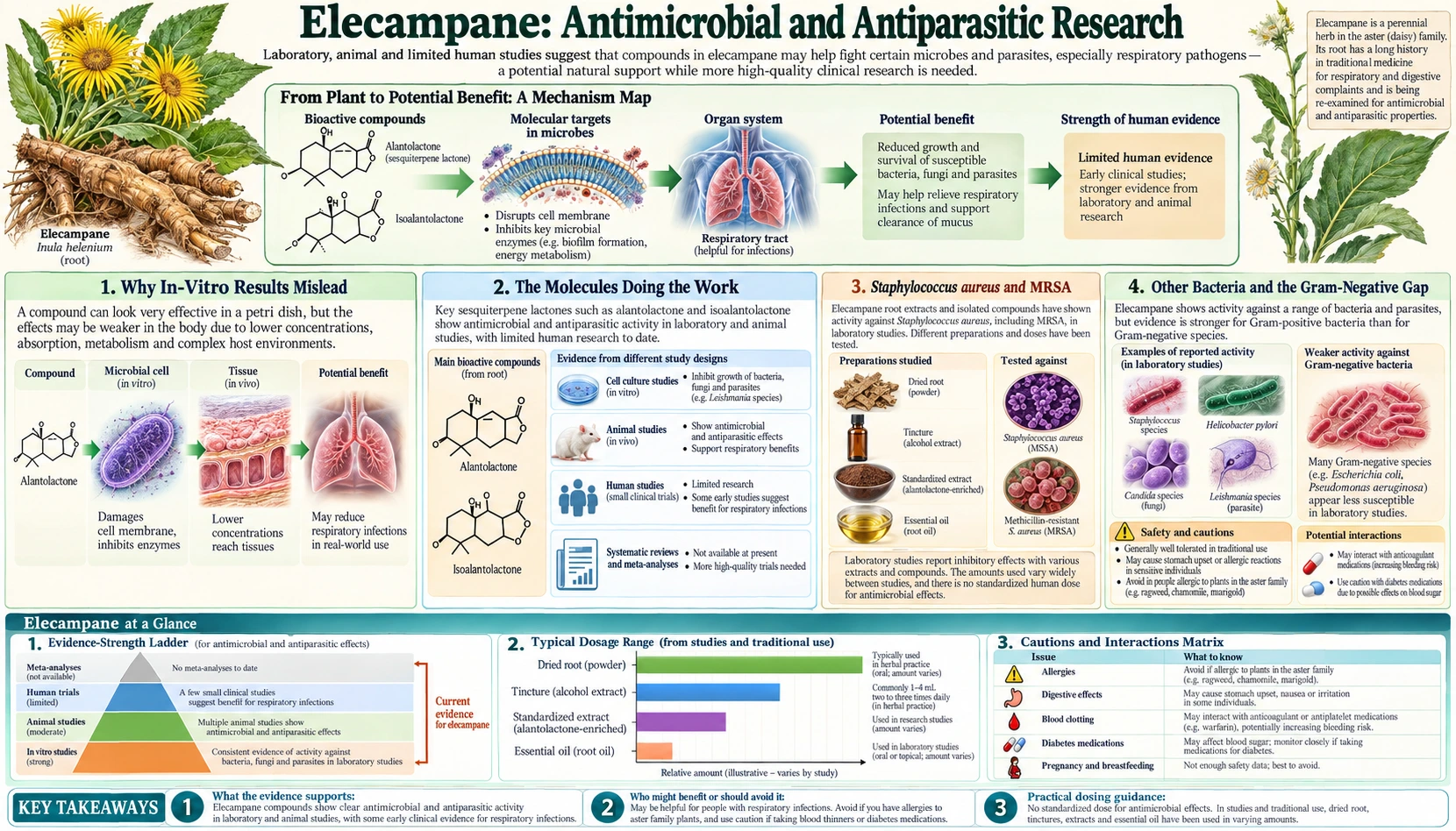 Antimicrobial and Antiparasitic Research — scientific infographic poster
