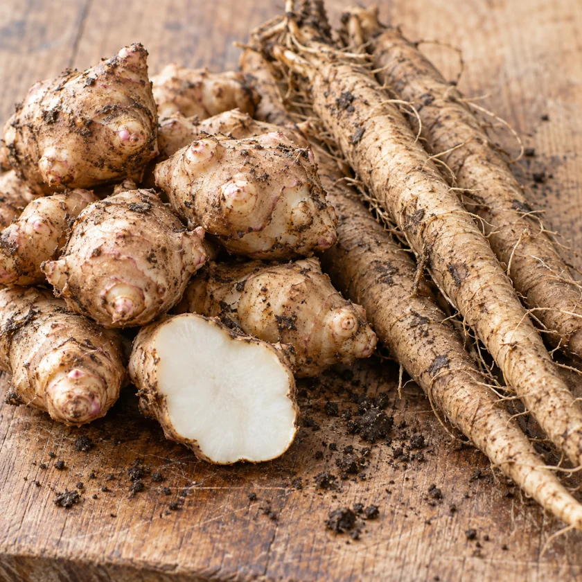Jerusalem artichoke and chicory, rich inulin foods