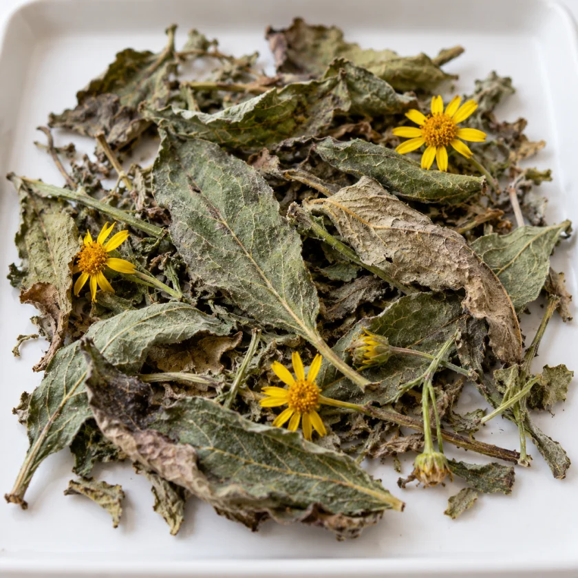 Lungwort harvest mixed with ragwort