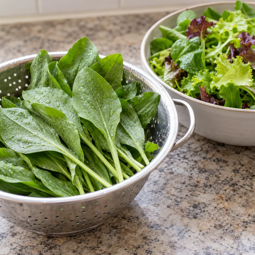 Young plantain leaves in a colander beside a green salad