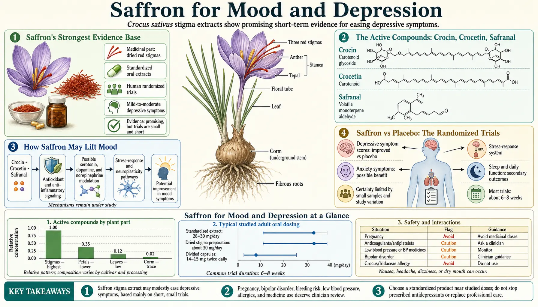 Mood and Depression — scientific infographic poster