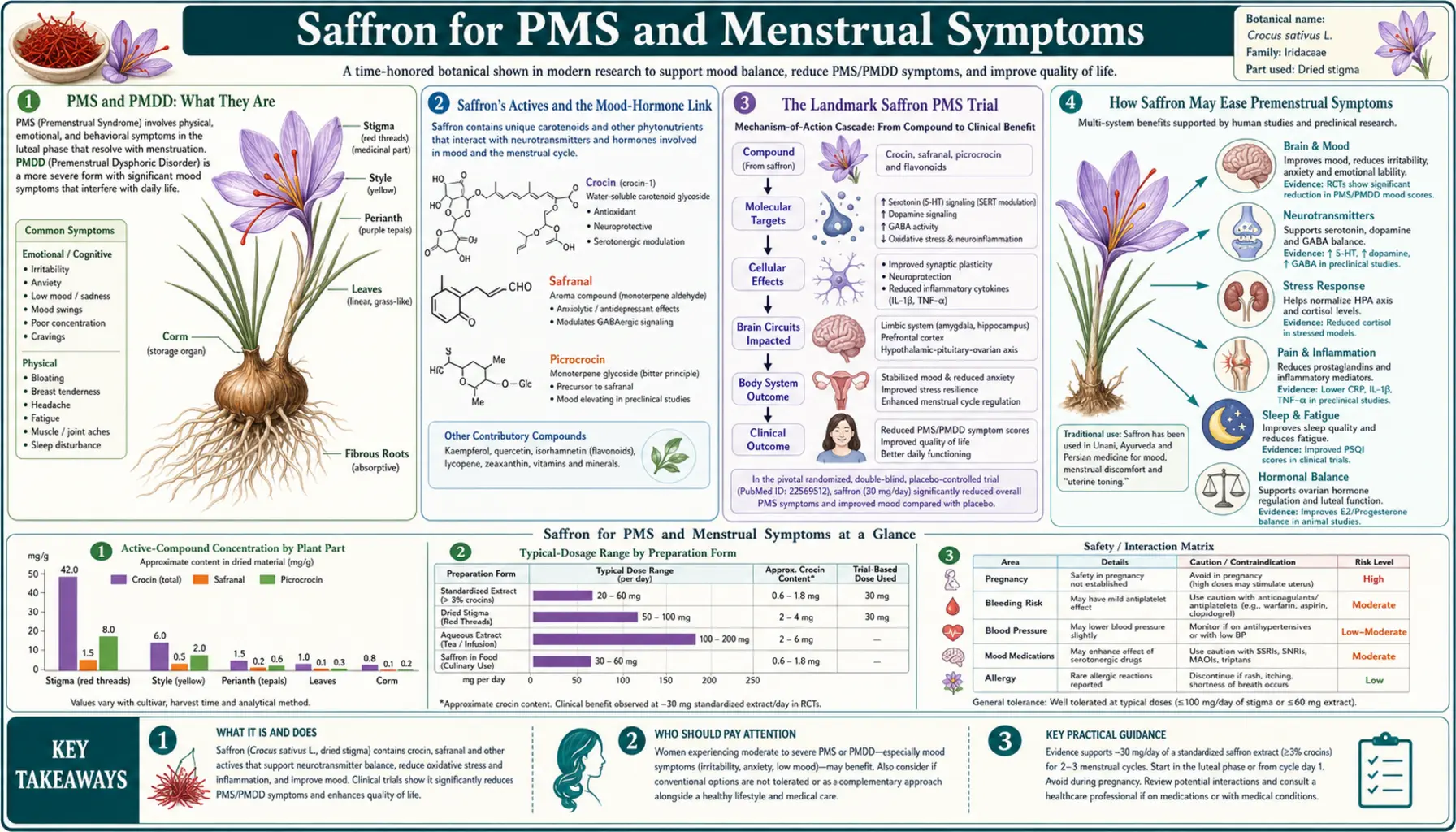 PMS and Menstrual — scientific infographic poster