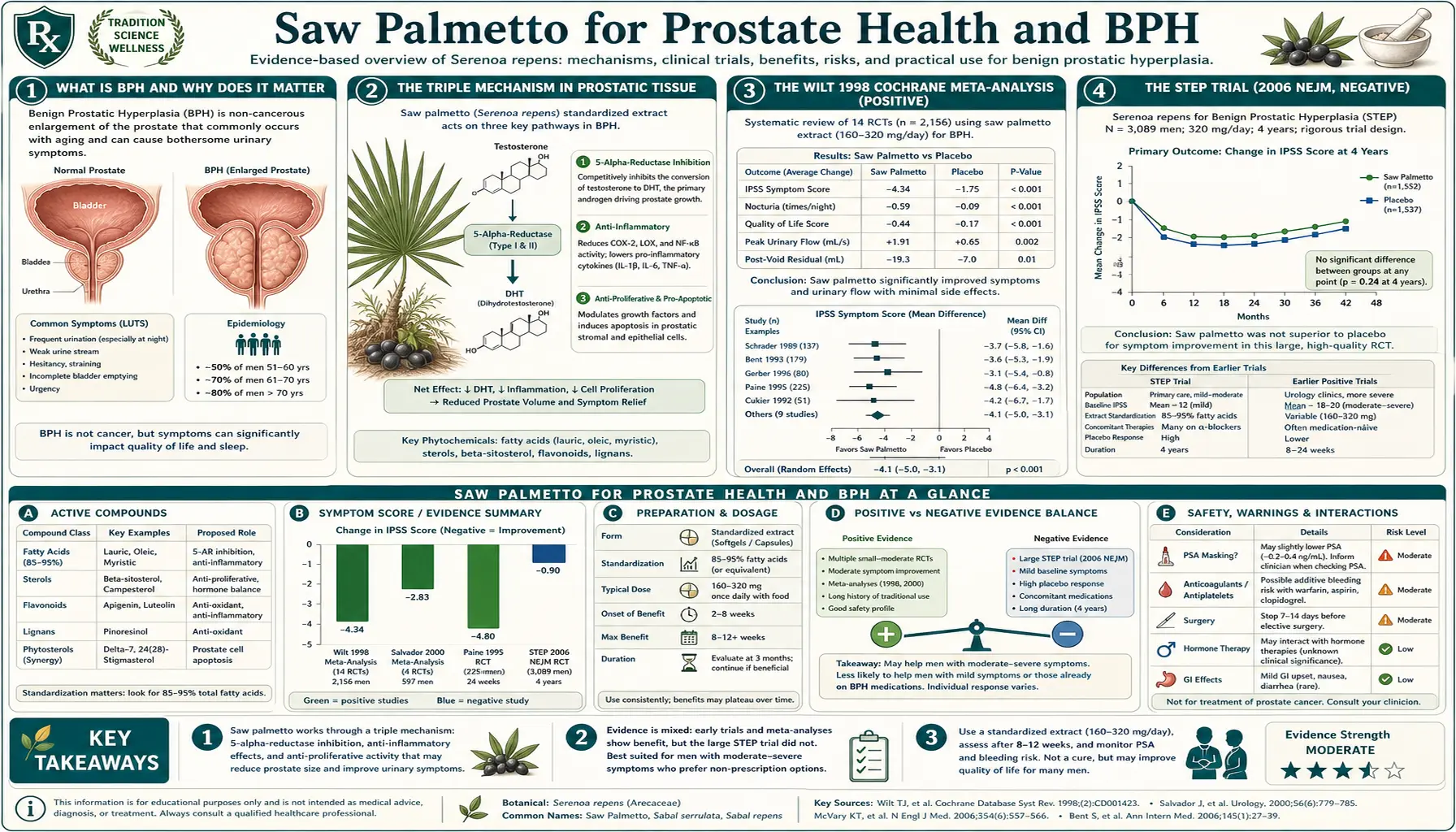 Prostate Health and BPH — scientific infographic poster