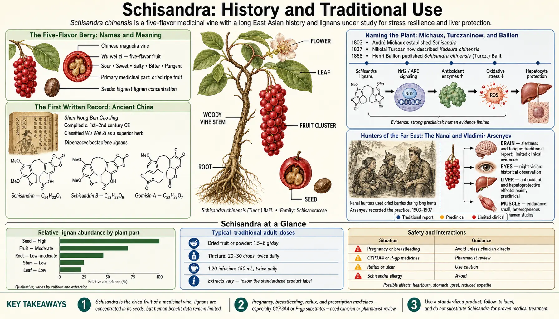 History — scientific infographic poster