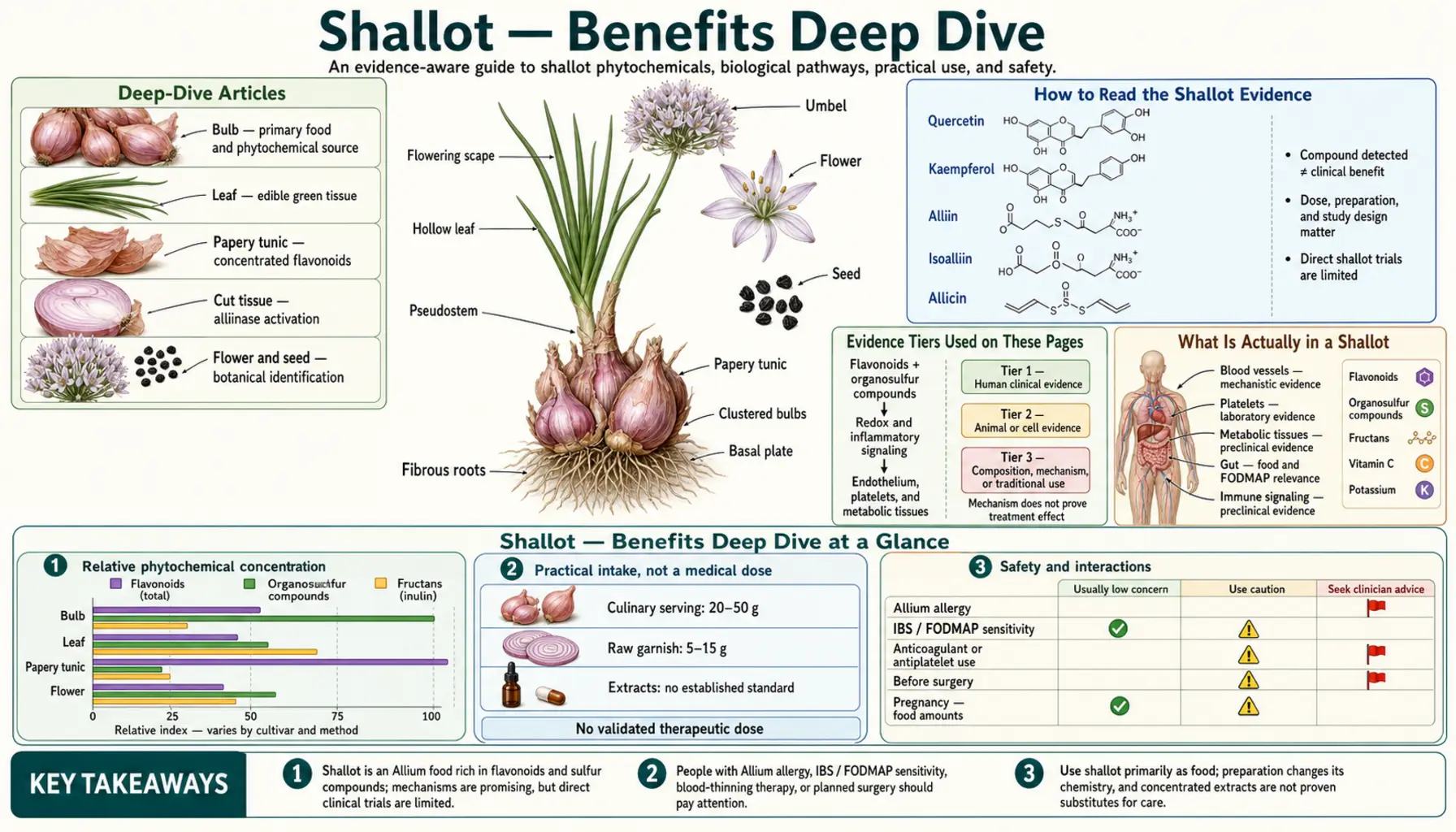 Benefits — scientific infographic poster