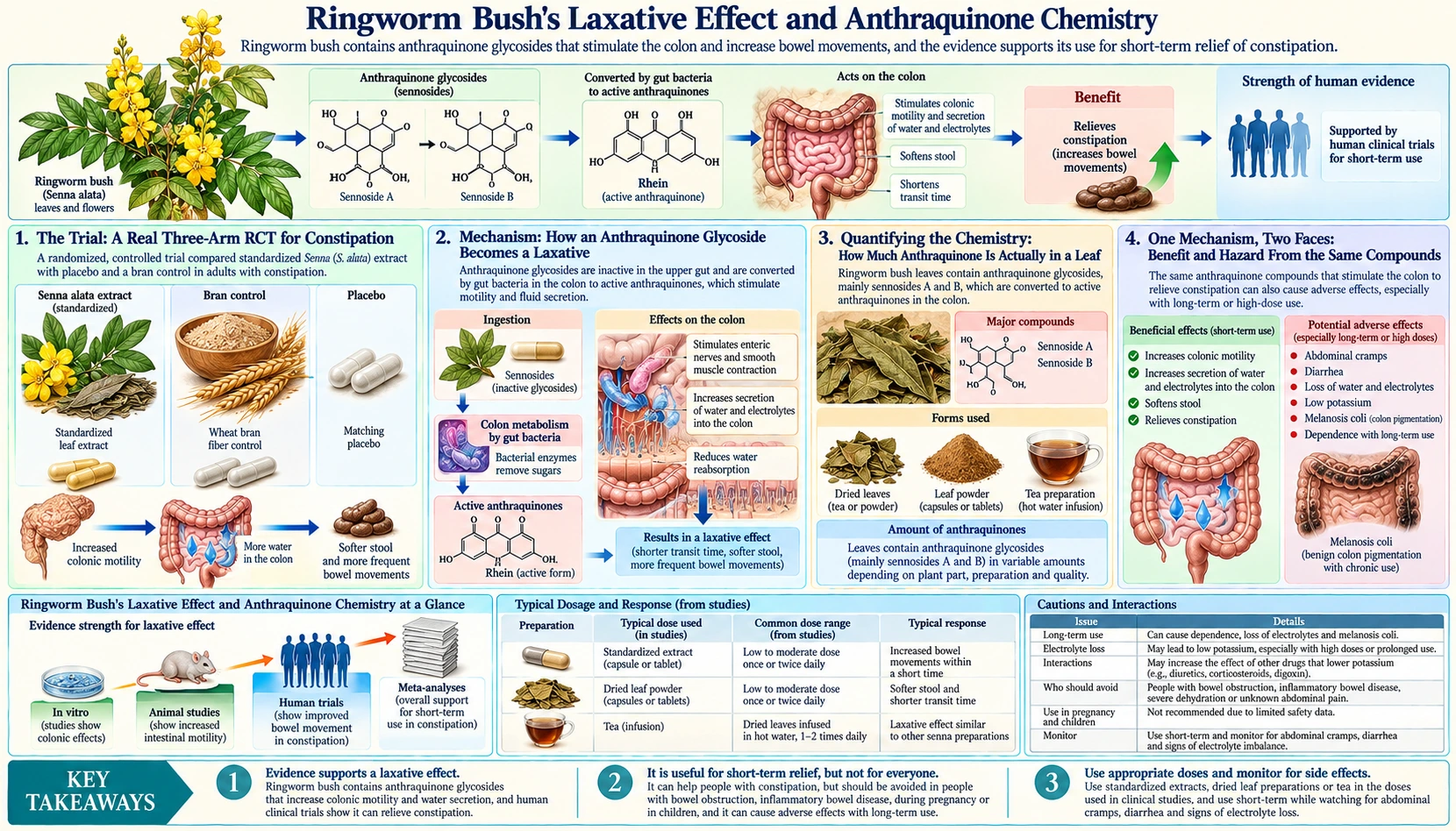 Laxative Effect and Anthraquinone Chemistry — scientific infographic poster