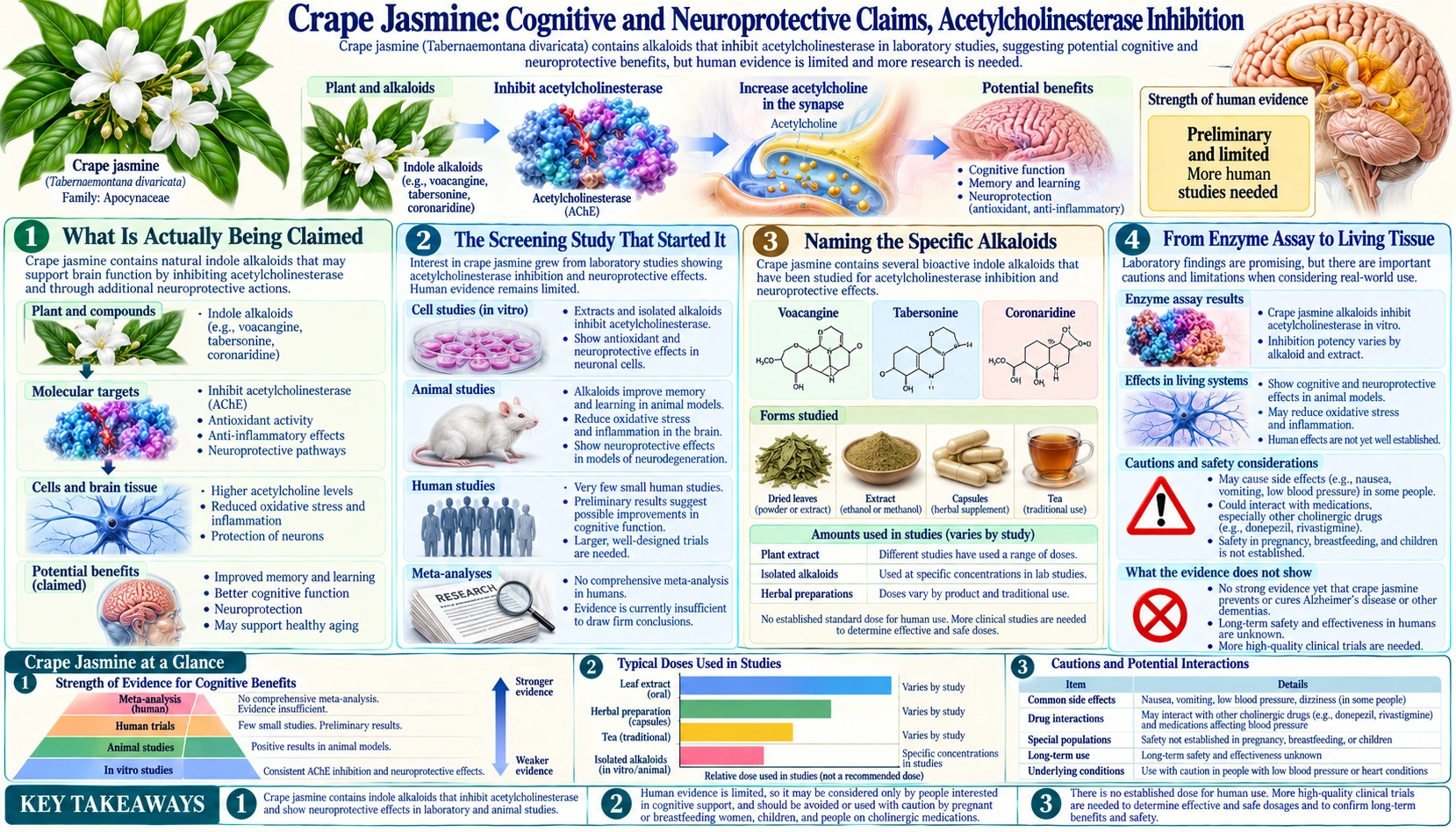 Cognitive and Neuroprotective Claims — scientific infographic poster