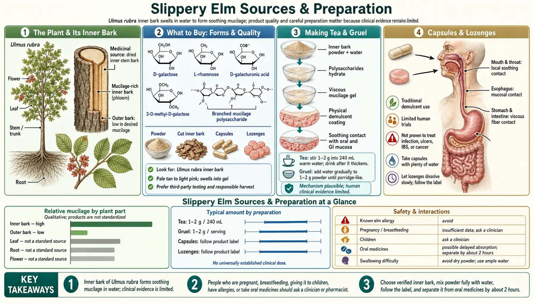 Sources and Preparation — scientific infographic poster