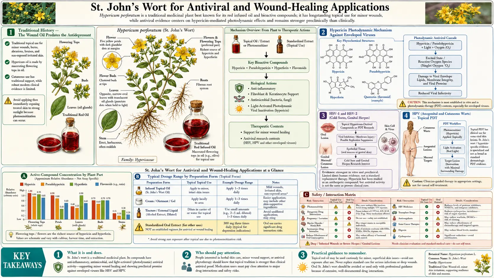 Antiviral and Wound Healing — scientific infographic poster