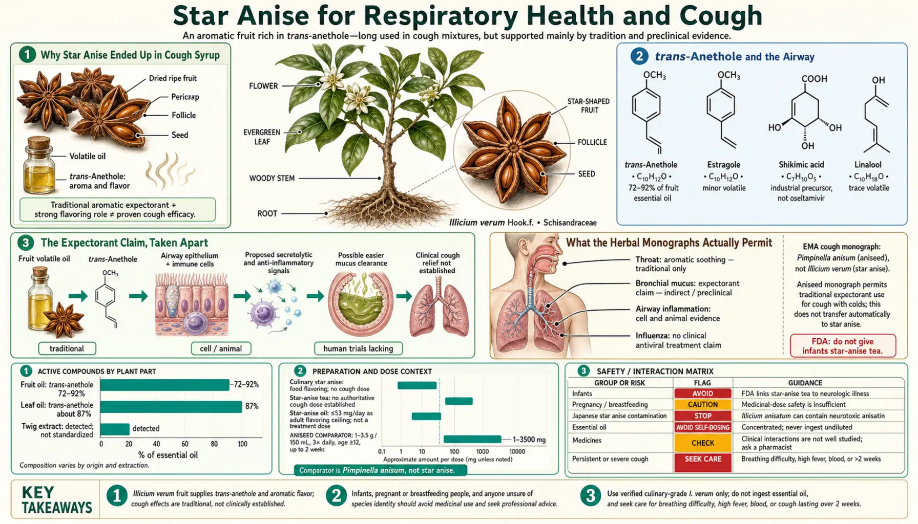 Respiratory and Cough — scientific infographic poster
