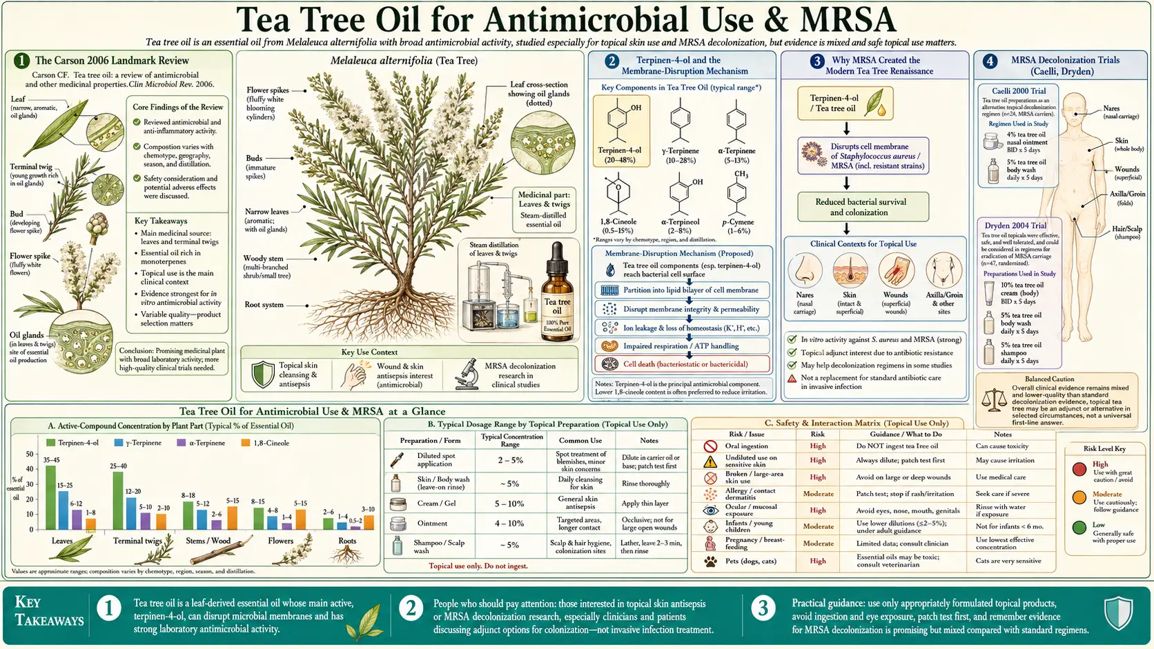 Antimicrobial and MRSA — scientific infographic poster