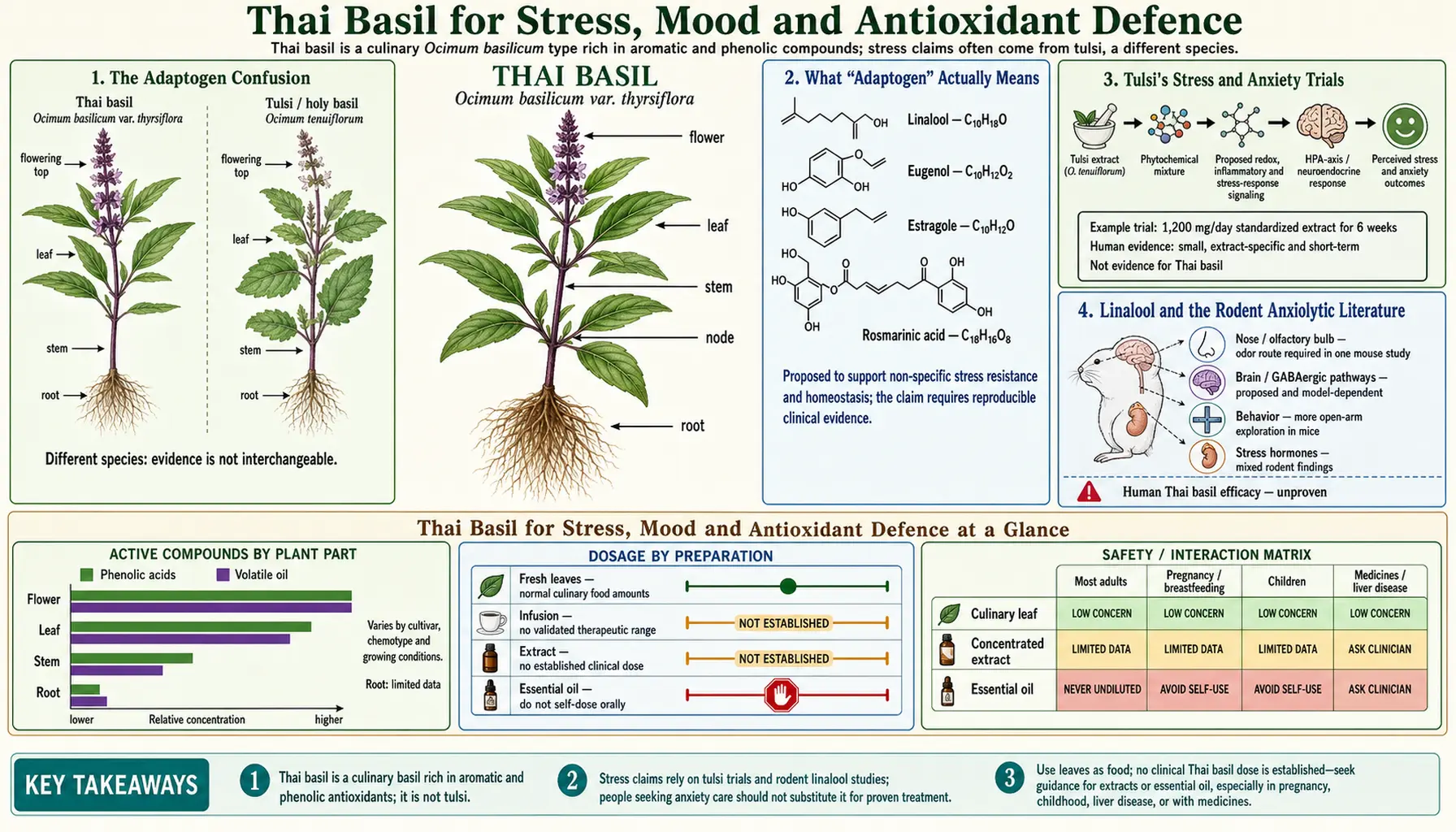 Stress Mood and Antioxidants — scientific infographic poster