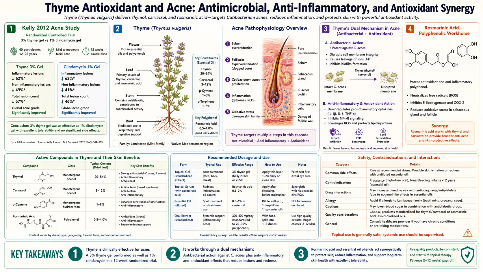 Antioxidant and Acne — scientific infographic poster