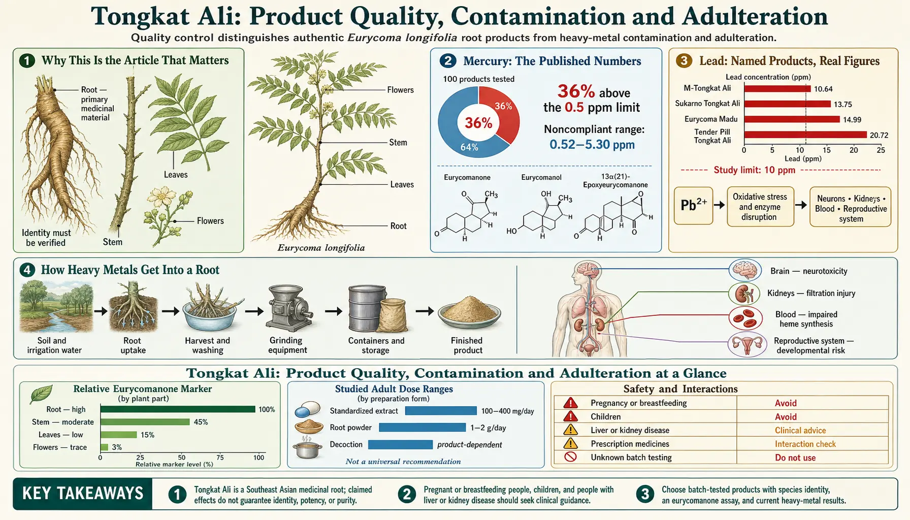Product Quality Contamination and Adulteration — scientific infographic poster