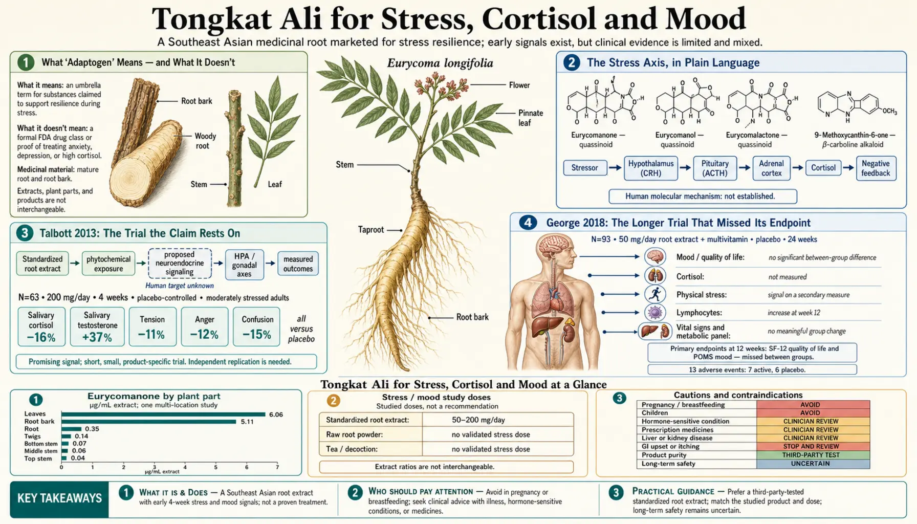 Stress Cortisol and Mood — scientific infographic poster