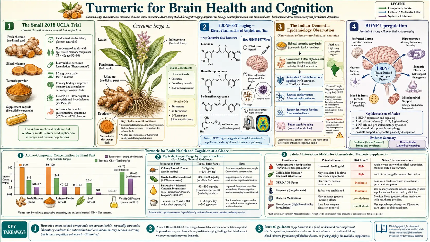Brain Health and Cognition — scientific infographic poster