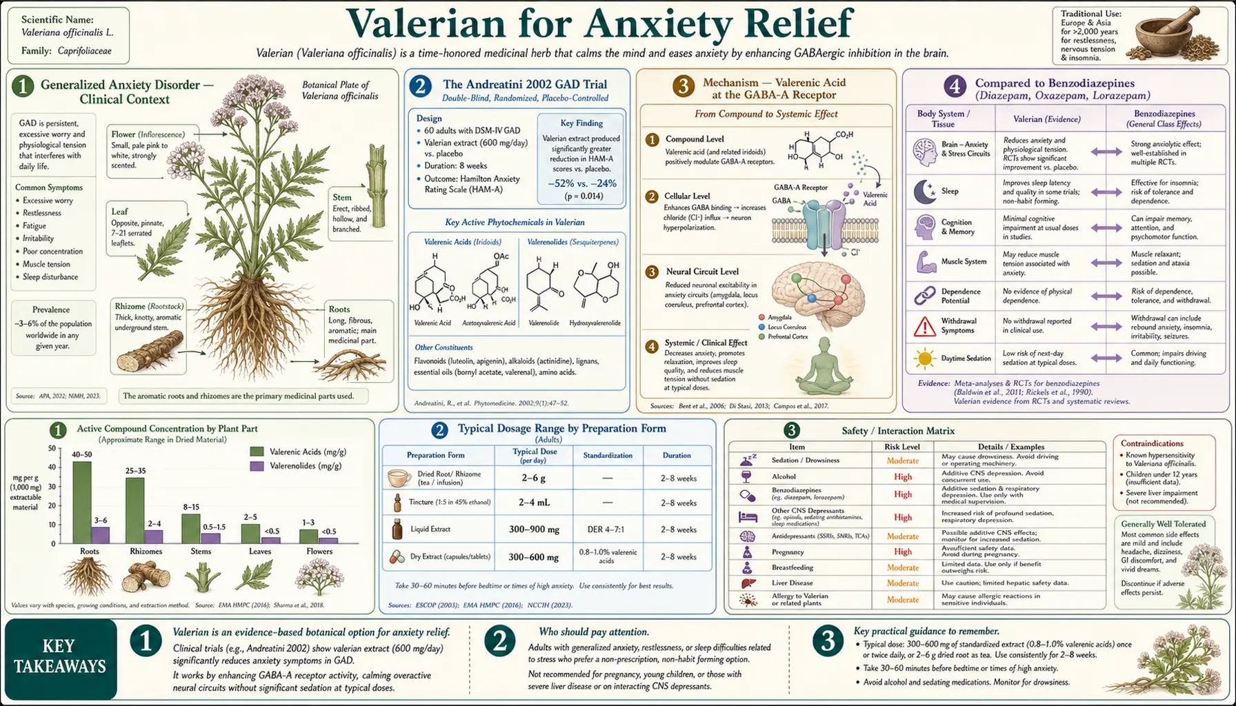 Anxiety Relief — scientific infographic poster