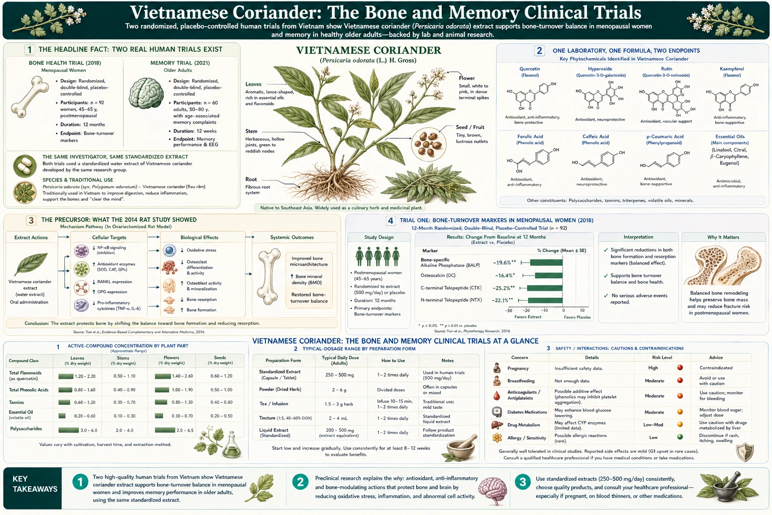 Bone and Memory Clinical Trials — scientific infographic poster