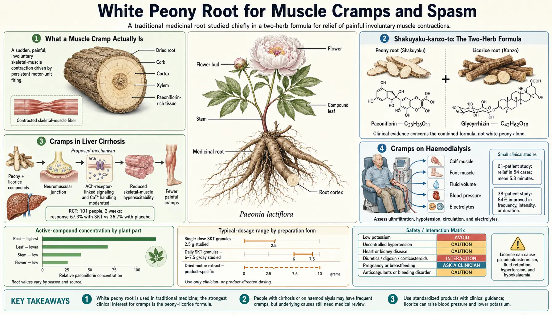 Muscle Cramps and Spasm — scientific infographic poster
