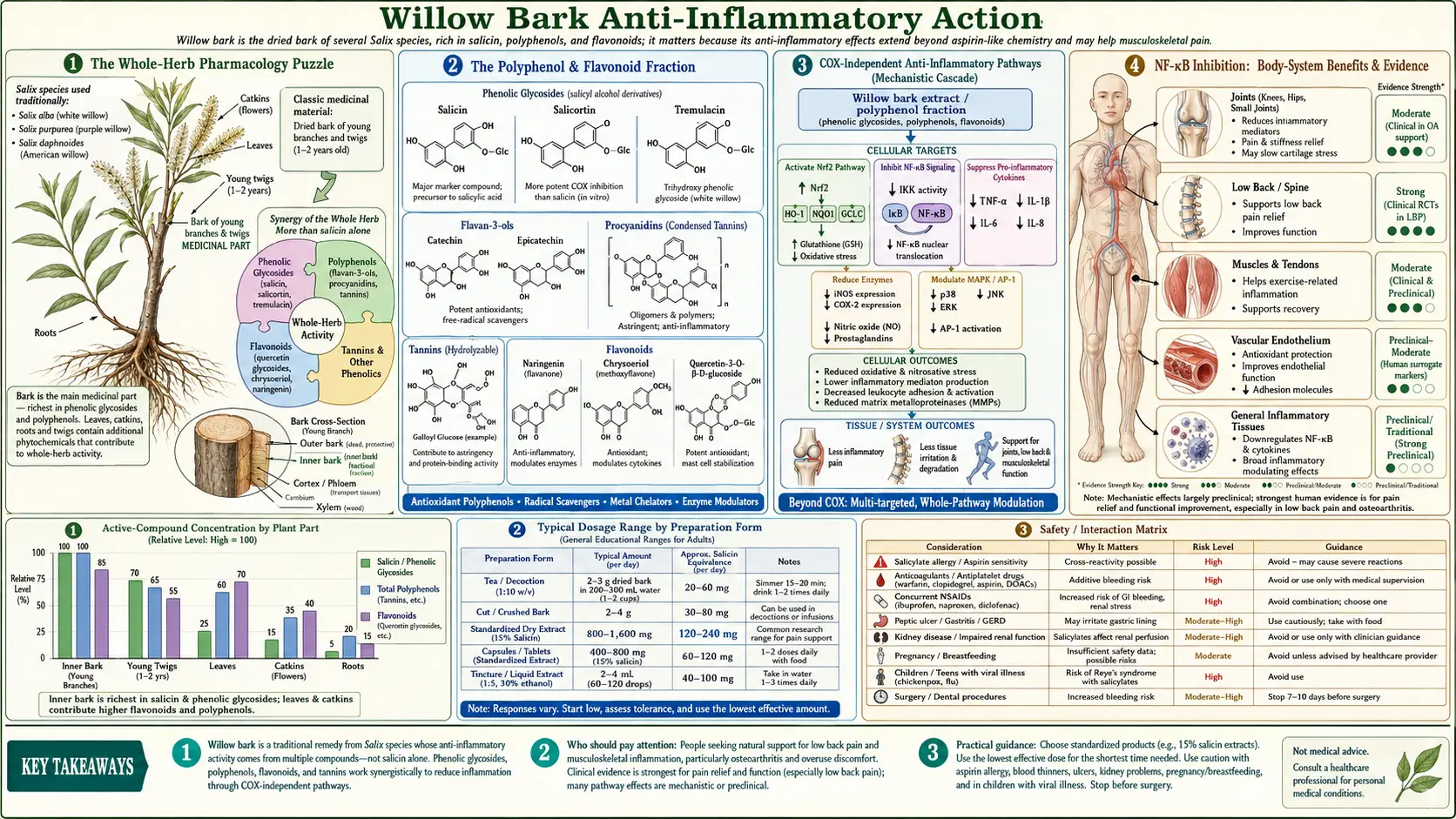 Anti Inflammatory — scientific infographic poster