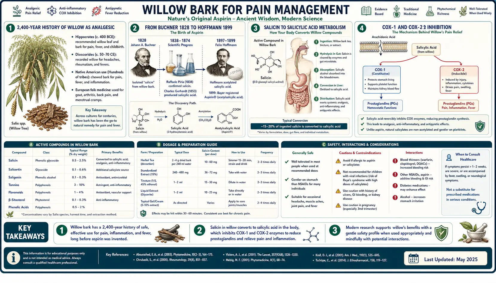 Pain Management — scientific infographic poster