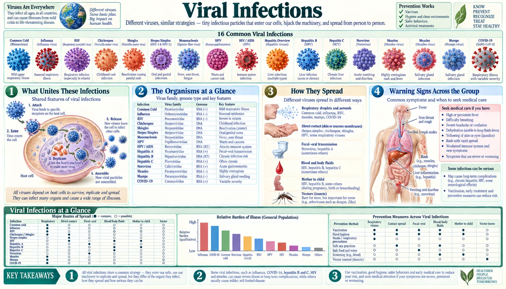 Viral — scientific infographic poster