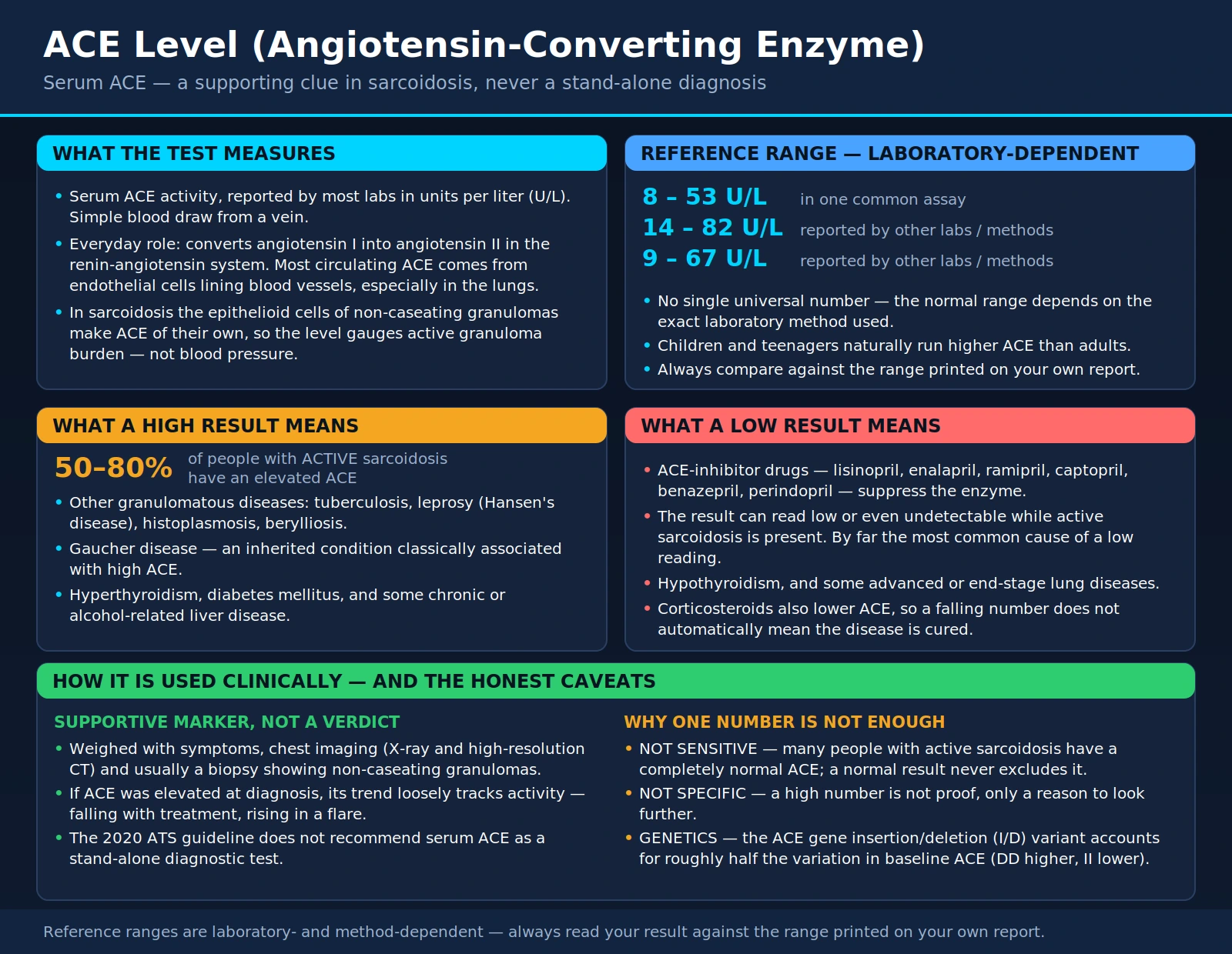 ACE Level — scientific infographic poster