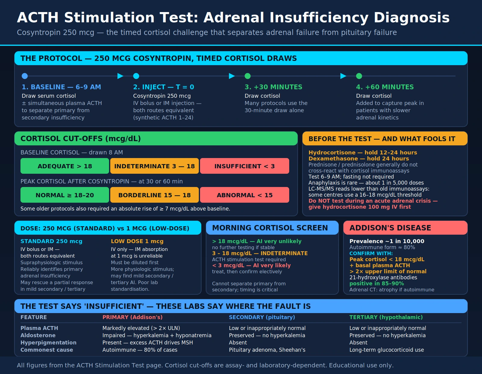 ACTH Stimulation Test — scientific infographic poster