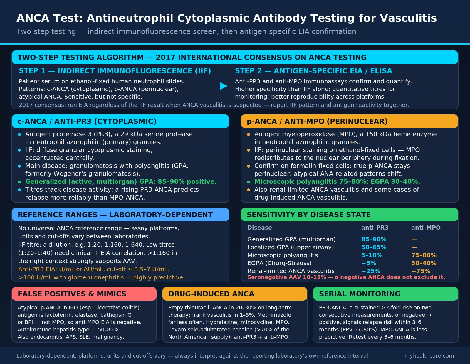 ANCA Test — scientific infographic poster