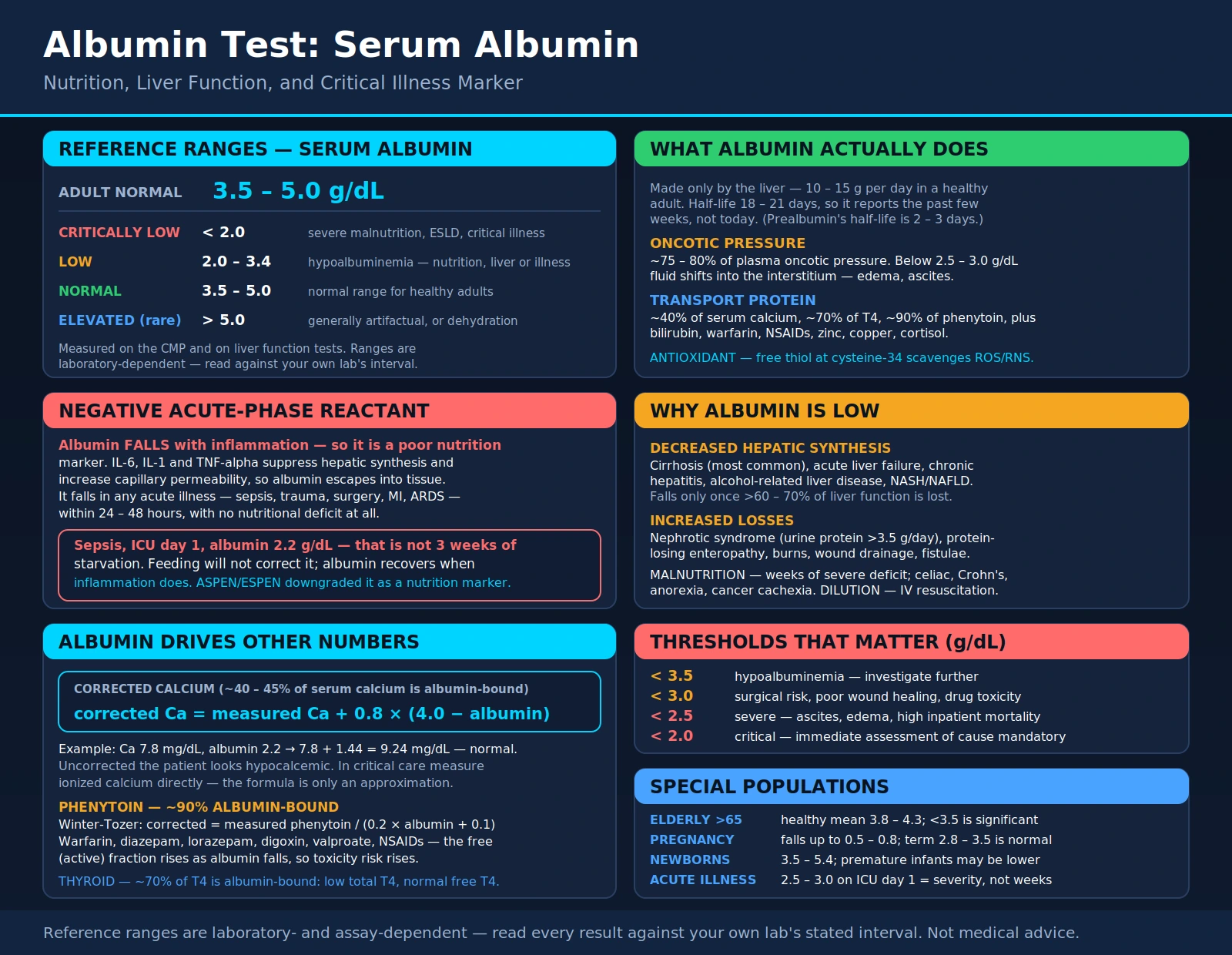Albumin — scientific infographic poster