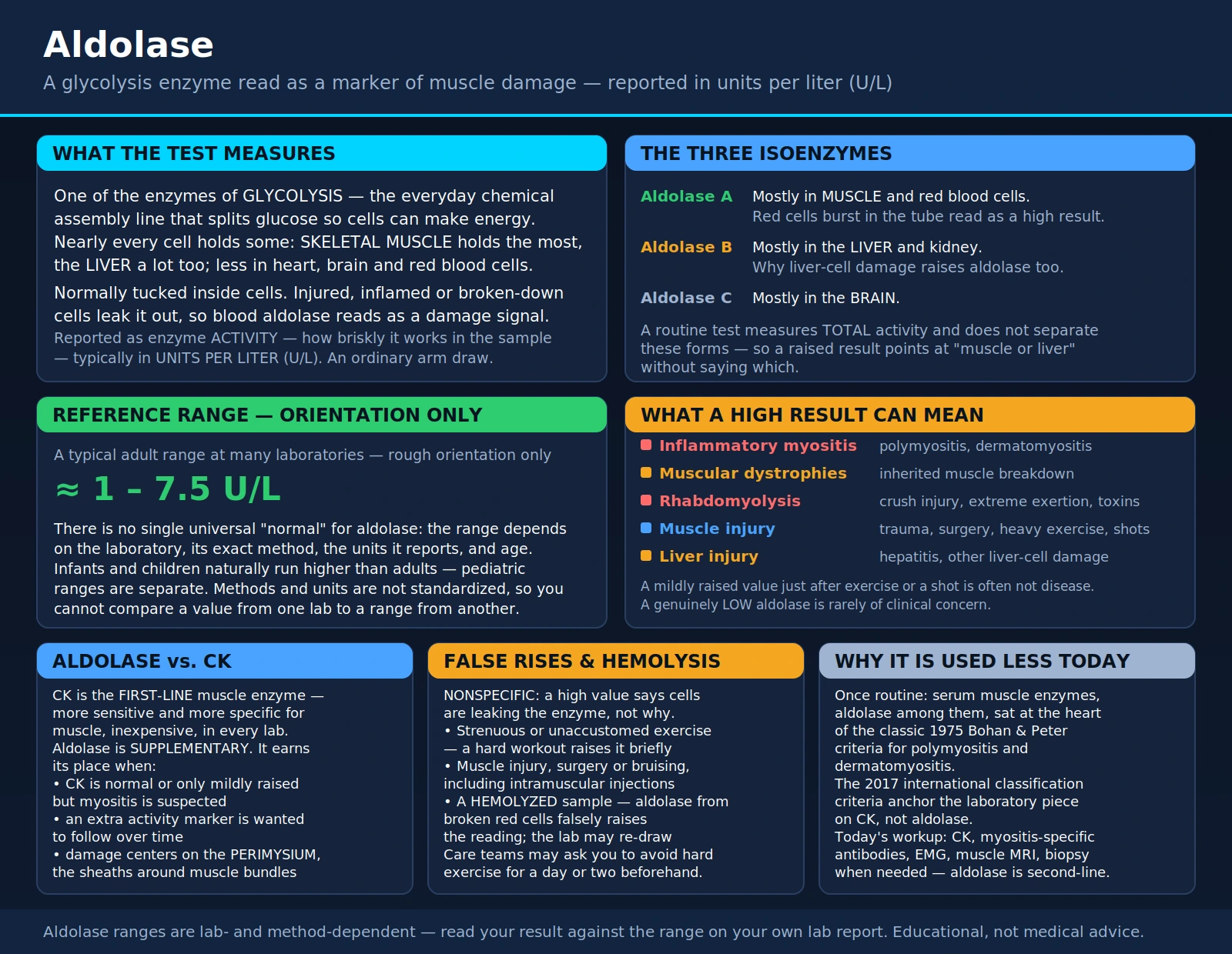 Aldolase — scientific infographic poster