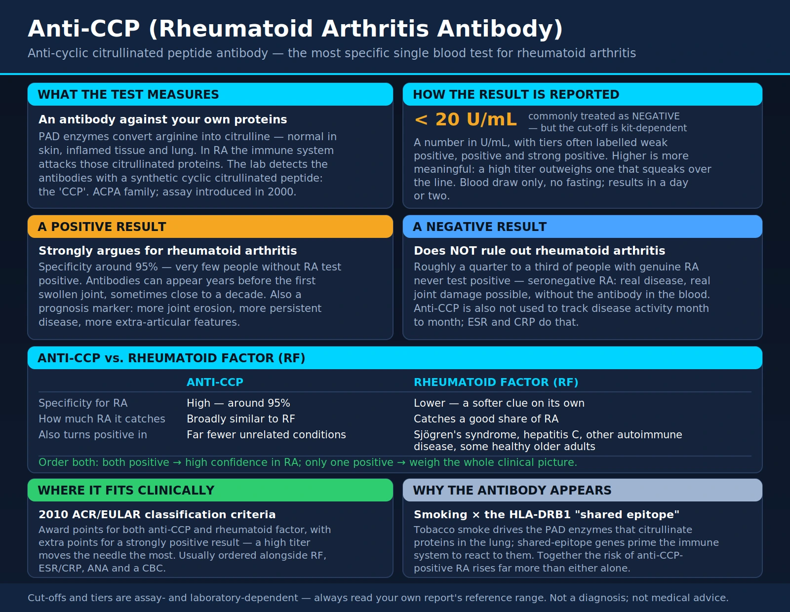 Anti CCP — scientific infographic poster