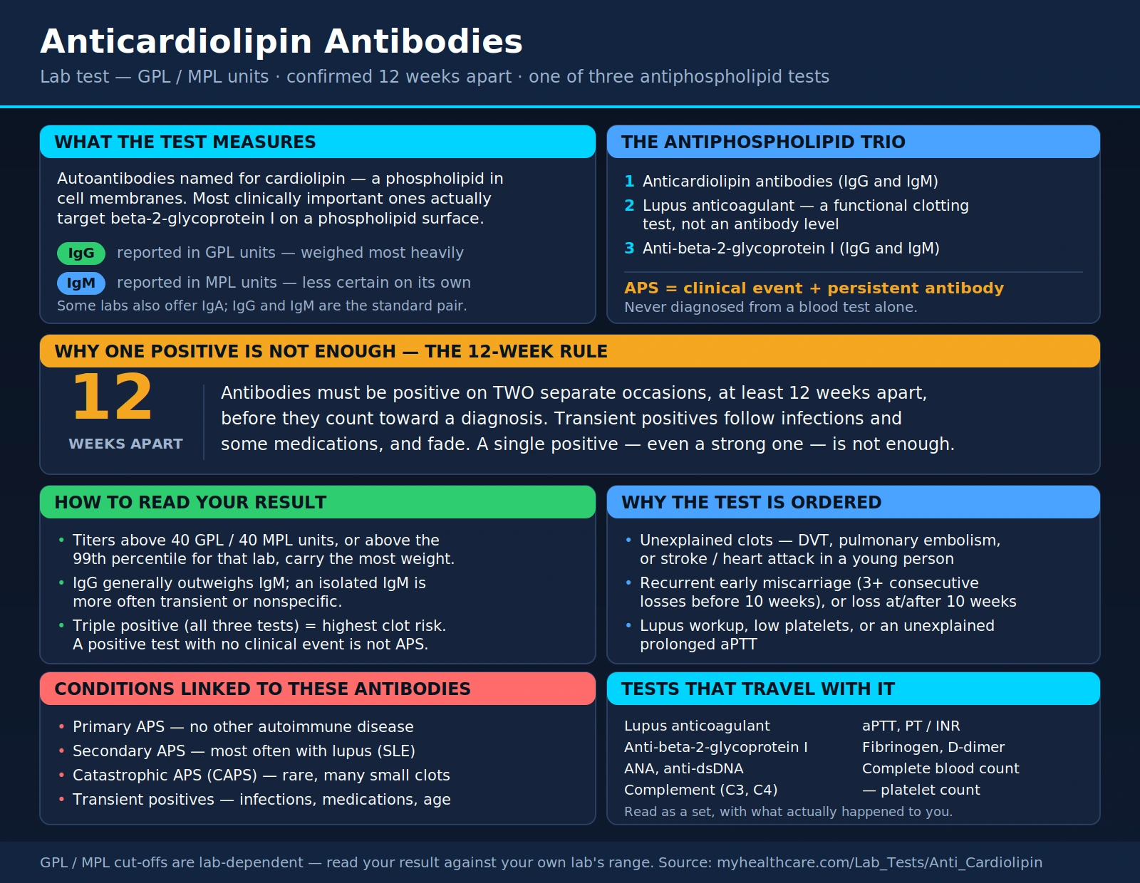 Anti Cardiolipin — scientific infographic poster
