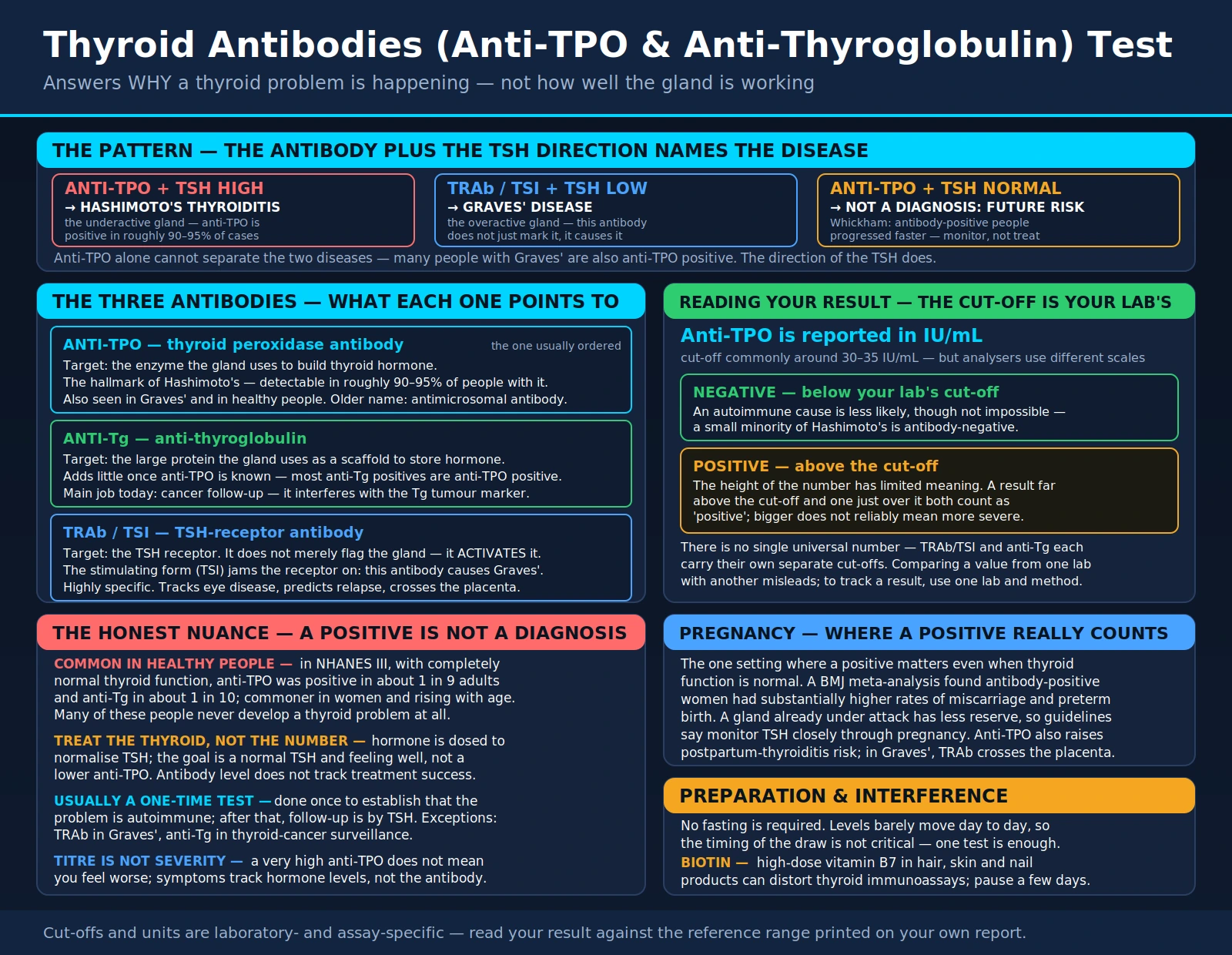 Anti TPO Antibodies — scientific infographic poster