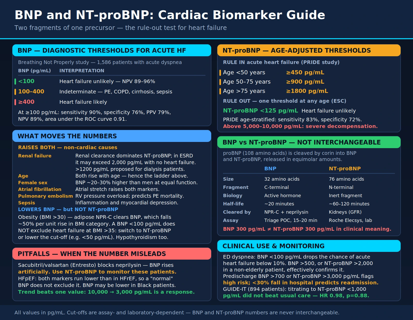 BNP NT proBNP — scientific infographic poster